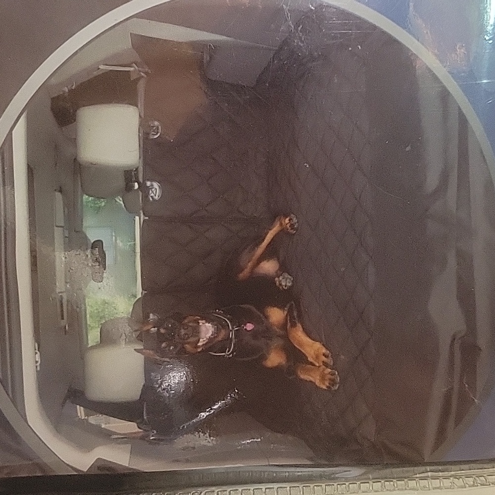 MONEY DONATED TO SPCA split cargo liner large car protection cover - Picture 3 of 5